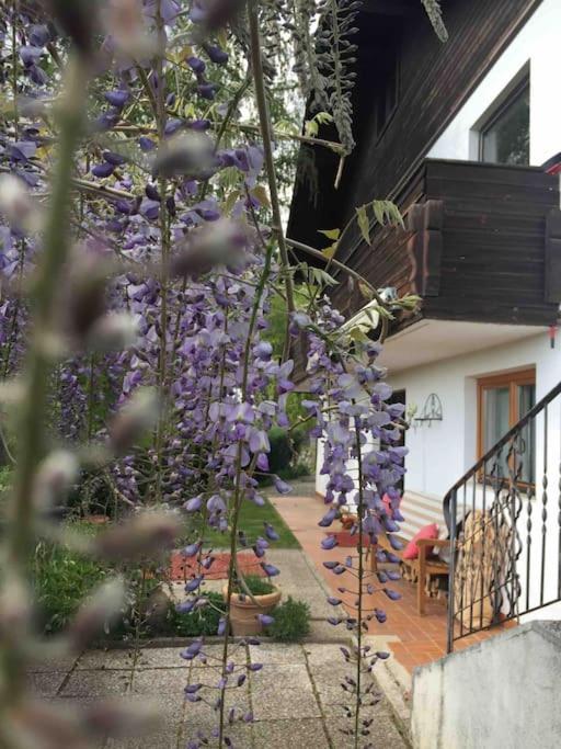 Charmantes Landhaus Mit Garten Und Traumhaftem Fernblick Thal  Extérieur photo