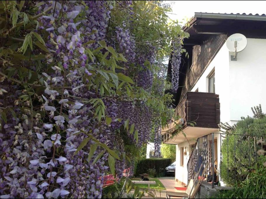 Charmantes Landhaus Mit Garten Und Traumhaftem Fernblick Thal  Extérieur photo