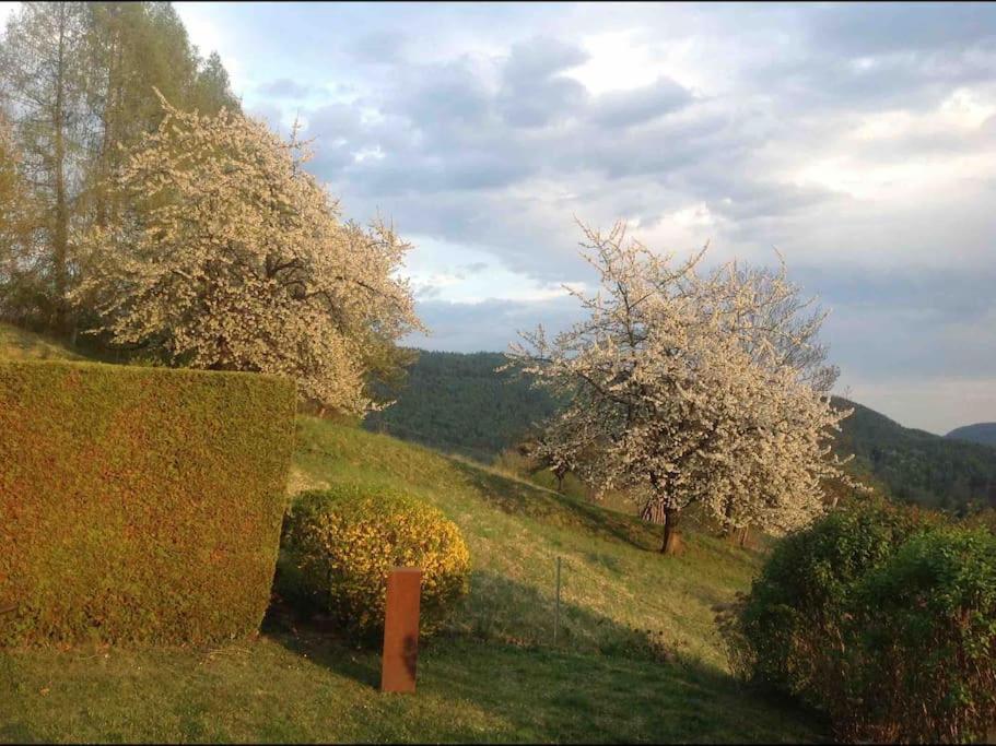 Charmantes Landhaus Mit Garten Und Traumhaftem Fernblick Thal  Extérieur photo